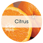 Citrus 