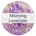 Morning Lavender 