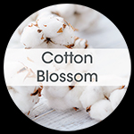 Cotton Blossom 