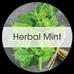 Herbal Mint 