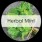 Herbal Mint