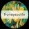 Honeysuckle